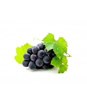 Praesentium Voluptatum